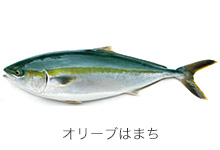 Prefectural Fish