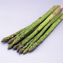 Asparagus (Sanuki-no-mezame)