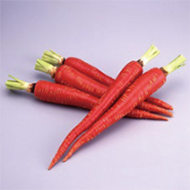 Kintoki carrots