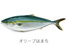 Prefectural fish