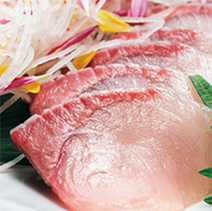 Olive Yellowtail