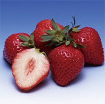 Sanukihime Strawberries